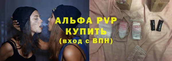 скорость Вяземский