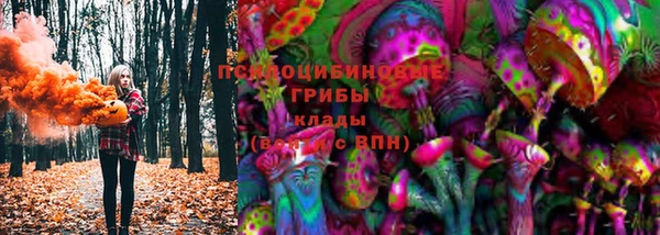 шишки Сосновый Бор
