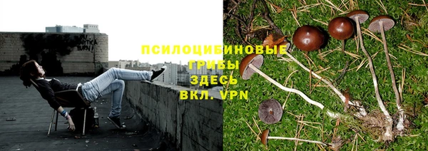 скорость Вяземский