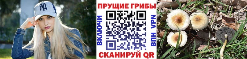 Галлюциногенные грибы мухоморы  Кызыл 