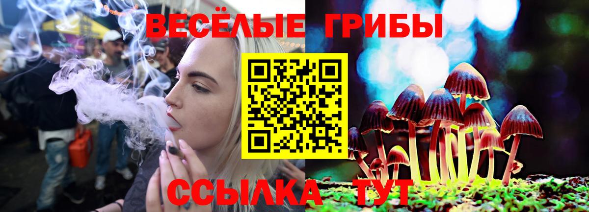 Галлюциногенные грибы Psilocybe  Псилоцибиновые грибы Psilocybine cubensis  Вход с VPN  Кызыл 